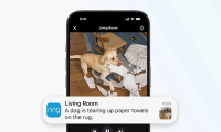 Ring déploie l’IA descriptive sur ses caméras : « un chien déchire du sopalin sur le tapis du salon »